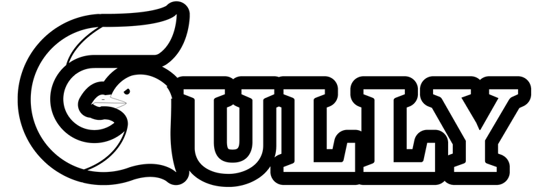 Gully